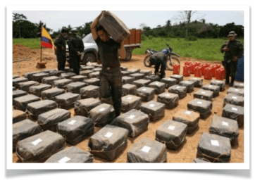 11 sobrepolitica.com